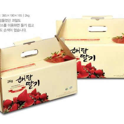 손잡이형패키지 032