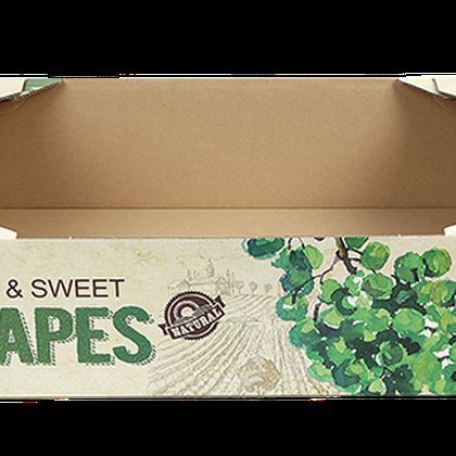 오픈형패키지 013