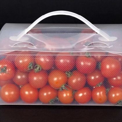 스마트 워싱팩 wp-017