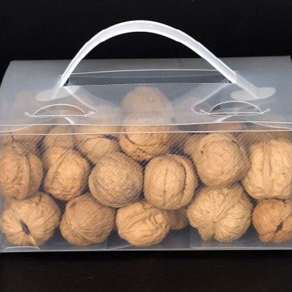 스마트 워싱팩 wp-016