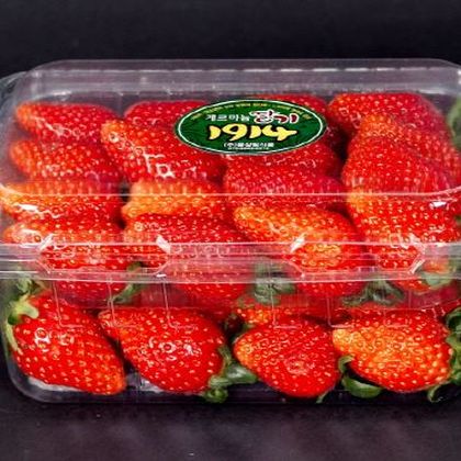 스마트2단팩 pp-003