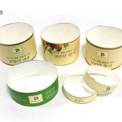 스마트밴드 sb-002